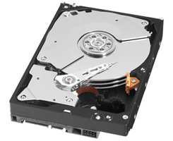 1.0TB Western Digital Caviar Black 3.5inch SATA 3.0Gb/s 7200RPM Hard Drive By Western Digital